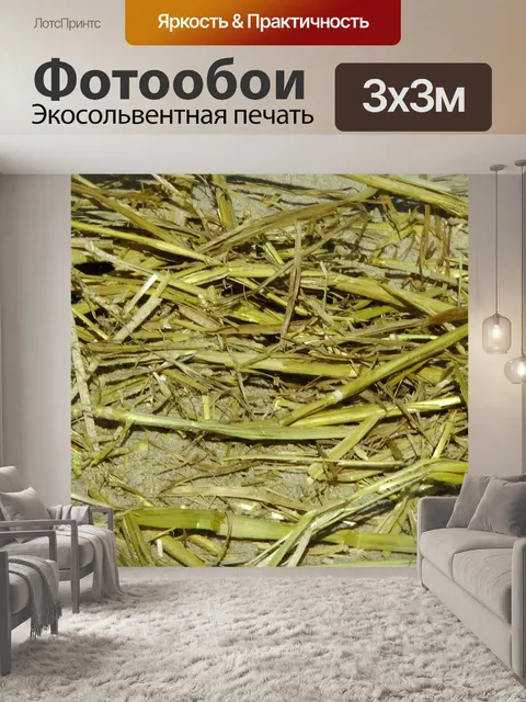Фотообои Солома на пляже песок