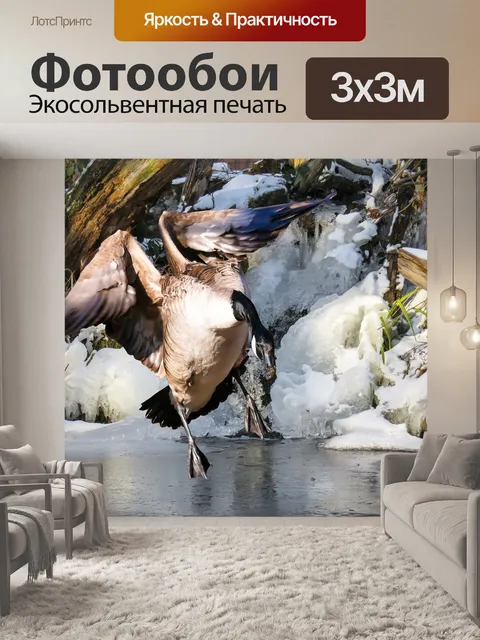 Фотообои Животное