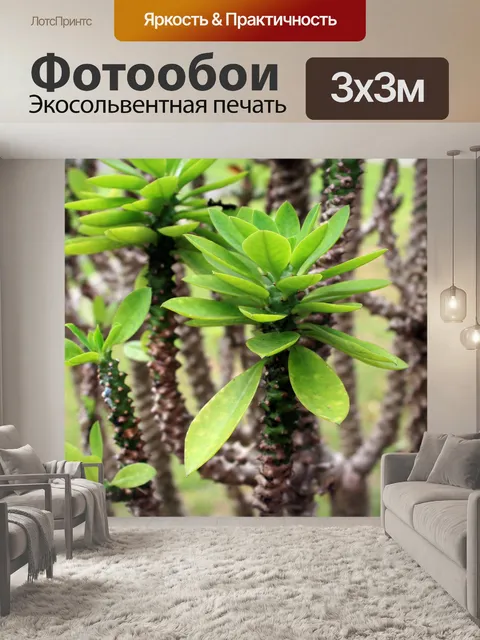 Фотообои листья