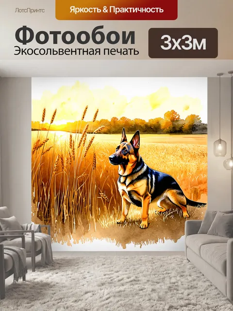 Фотообои сцена в полях, где немецкая овчарка играет среди высоких колосьев пшеницы при закате, создавая золотистый фон