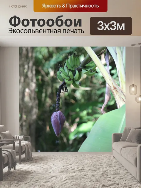 Фотообои Еда