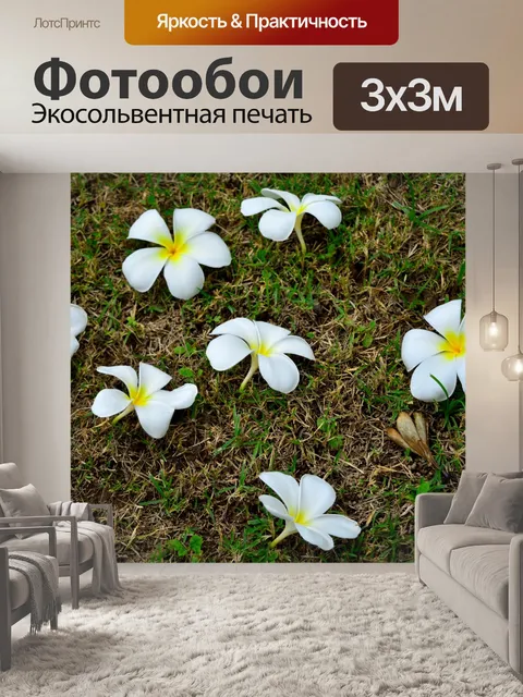 Фотообои Белый цветок
