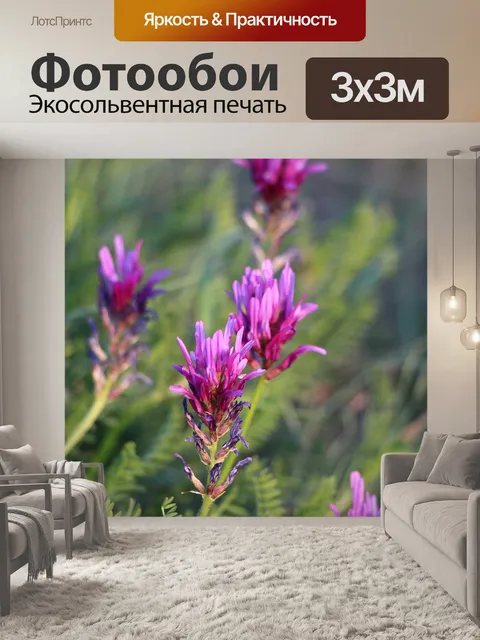 Фотообои Цветок