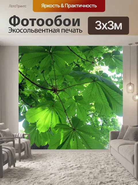 Фотообои Лес