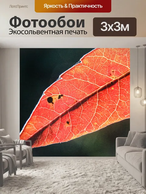 Фотообои Лист