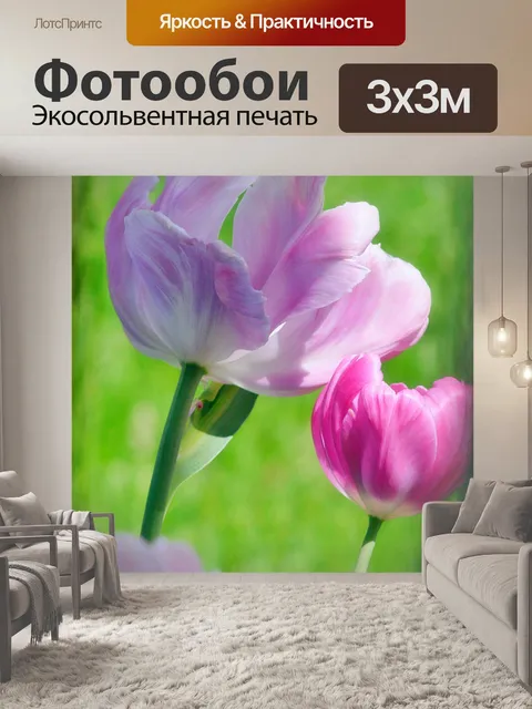 Фотообои Тюльпаны