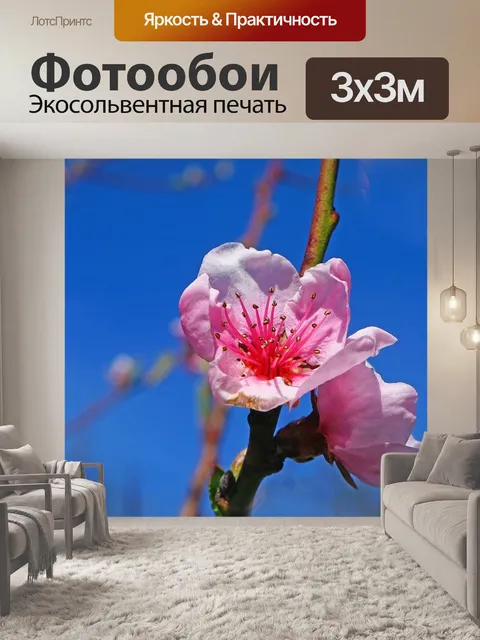 Фотообои Деревья