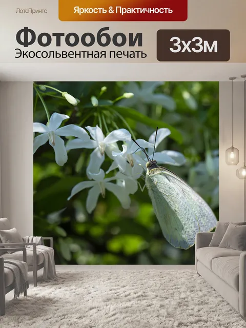 Фотообои Цветок