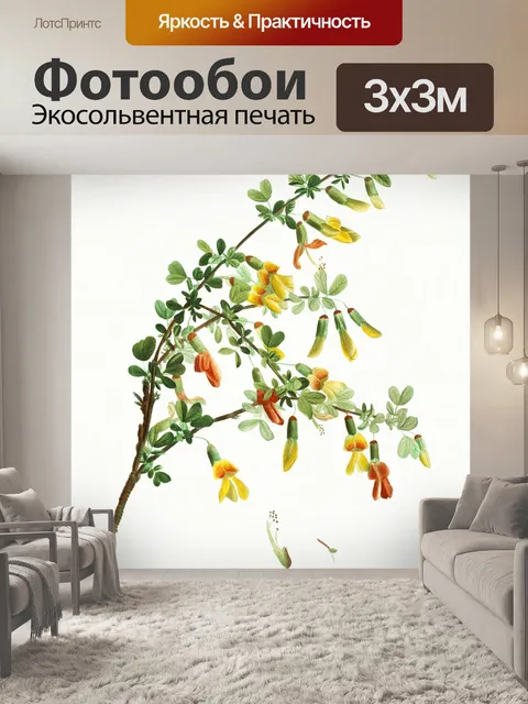 Фотообои Старинное цветочное искусство старое