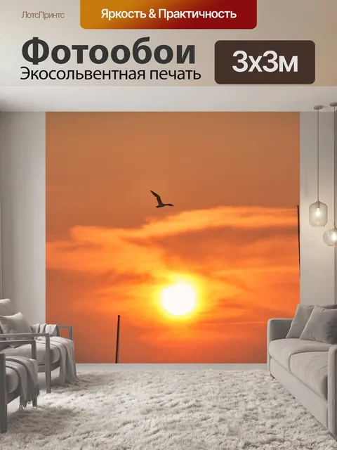 Фотообои Чайка