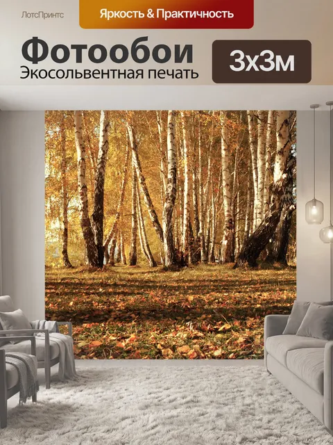 Фотообои Осенний лес