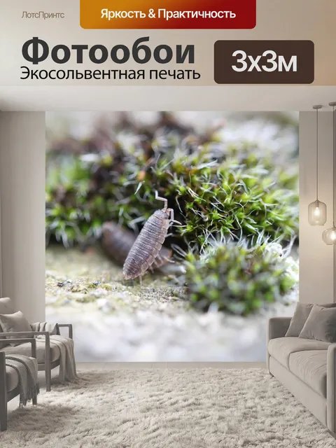 Фотообои Природа