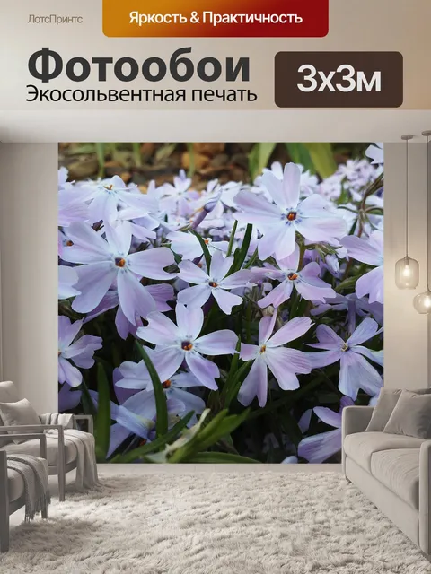 Фотообои Цветы
