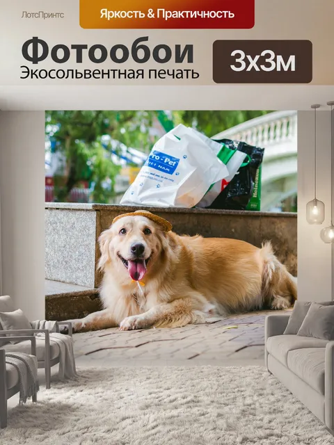 Фотообои Золотой