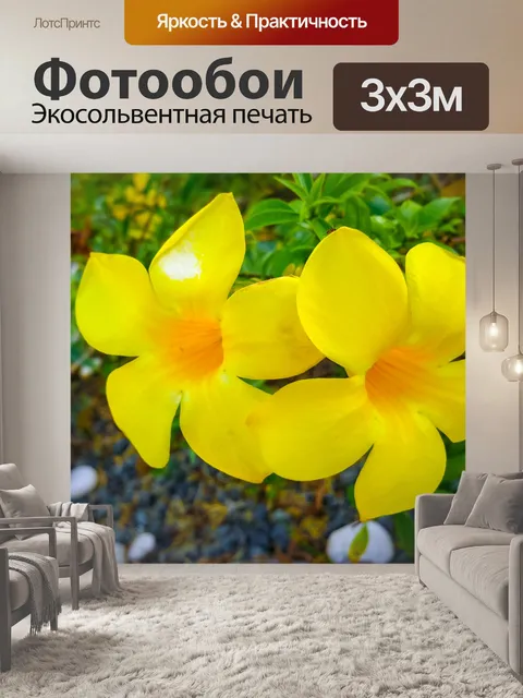 Фотообои Тропические цветы