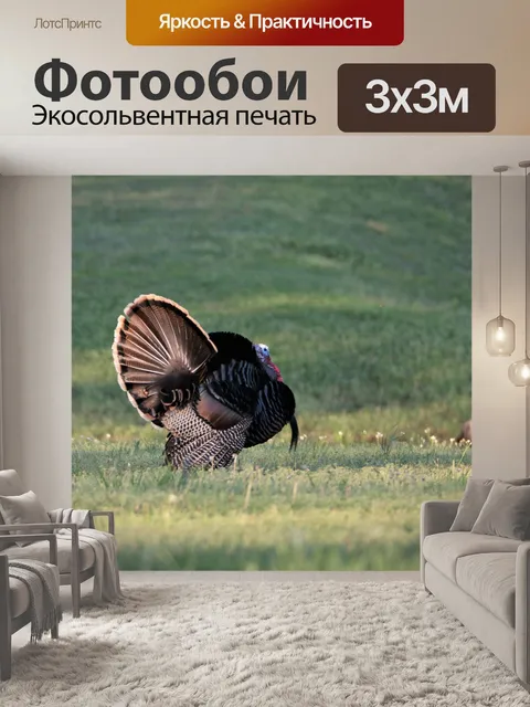 Фотообои Том Турция в зеленом поле