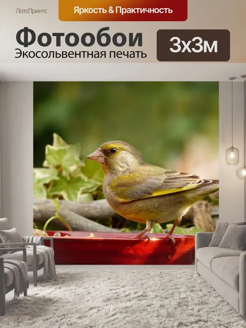 Фотообои Животное