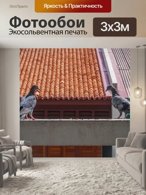 Фотообои Голуби