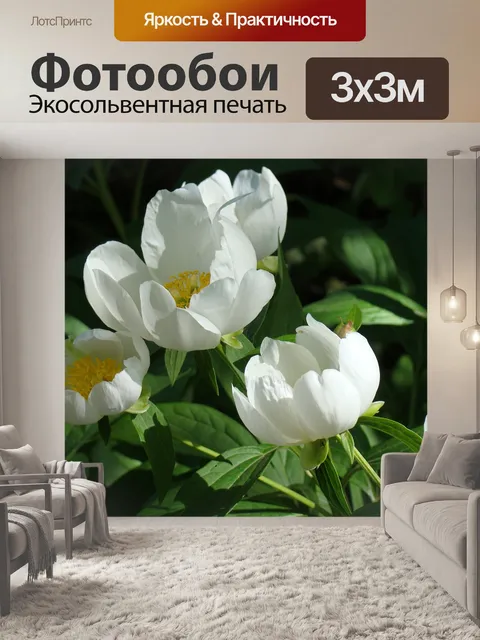 Фотообои Пионы