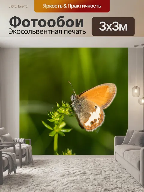 Фотообои Огонь фальтер