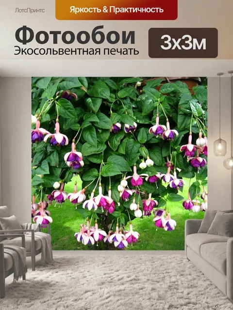 Фотообои Фуксия