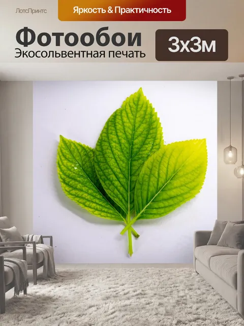 Фотообои Листья