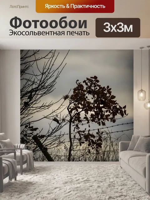 Фотообои Темный Пейзаж