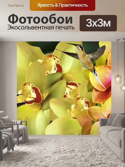 Фотообои Орхидеи