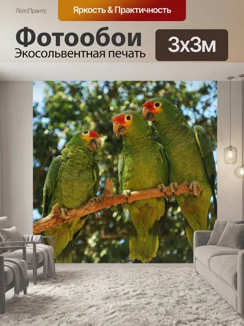 Фотообои Птицы