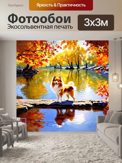 Фотообои миниатюрный шпиц, стоящий на берегу озера, отражается в кристально чистой воде
