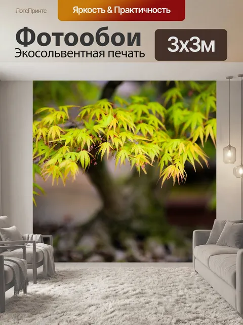 Фотообои Клен