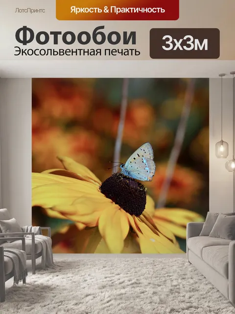 Фотообои Бабочка
