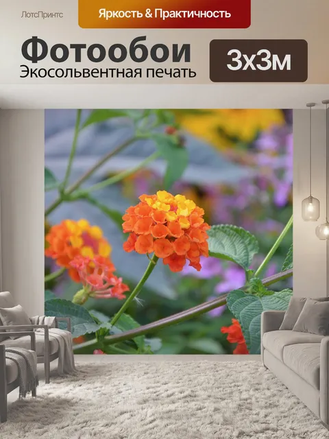 Фотообои Цветы