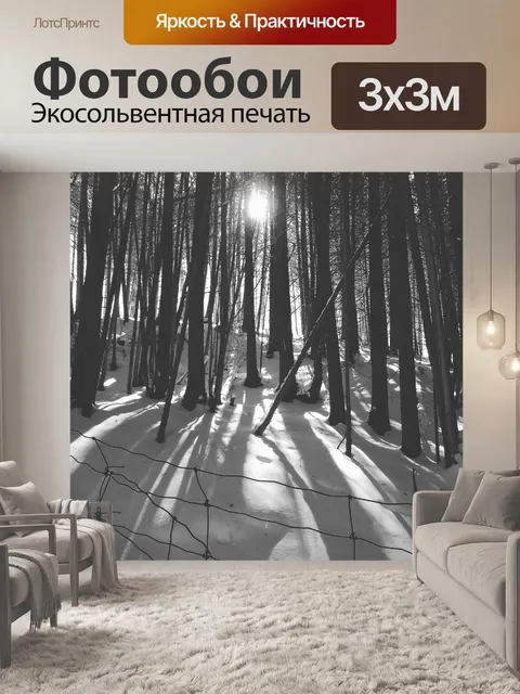 Фотообои Зима