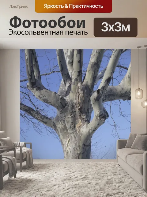 Фотообои Дерево