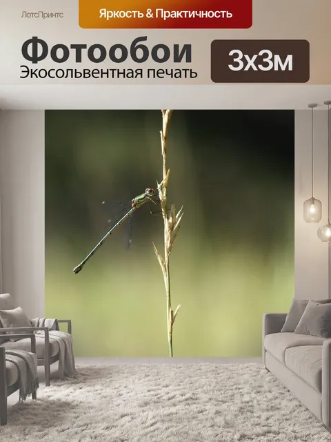 Фотообои Стрекоза