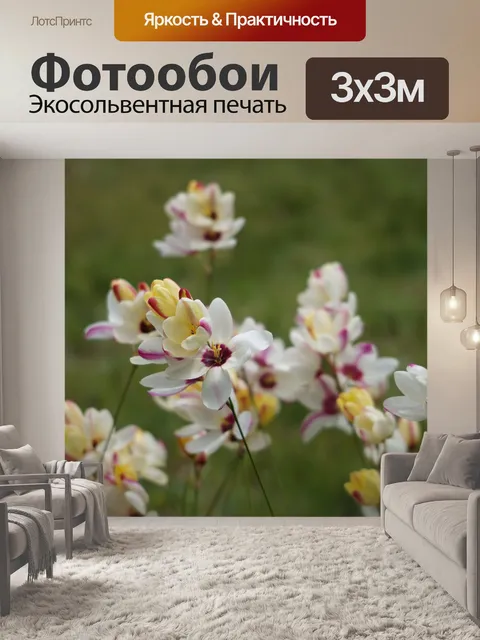 Фотообои Цветы