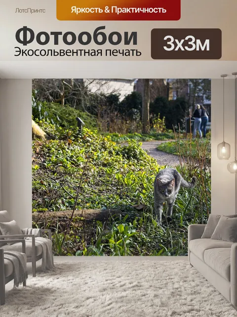 Фотообои Кошки