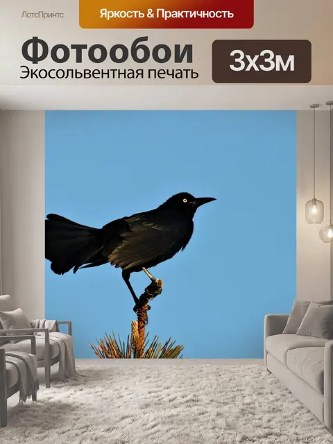 Фотообои Великохвостый Гракл в сосне