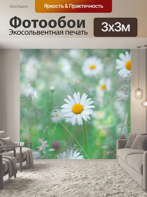 Фотообои Цветы ромашки полевые луговые