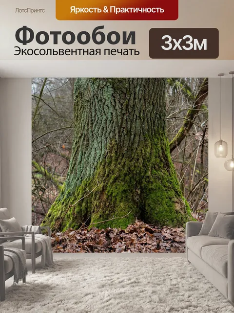 Фотообои Дерево