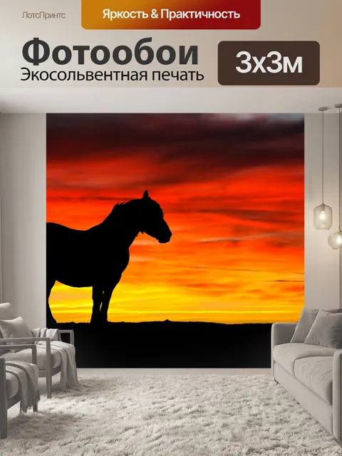 Фотообои Лошадь и закат силуэт