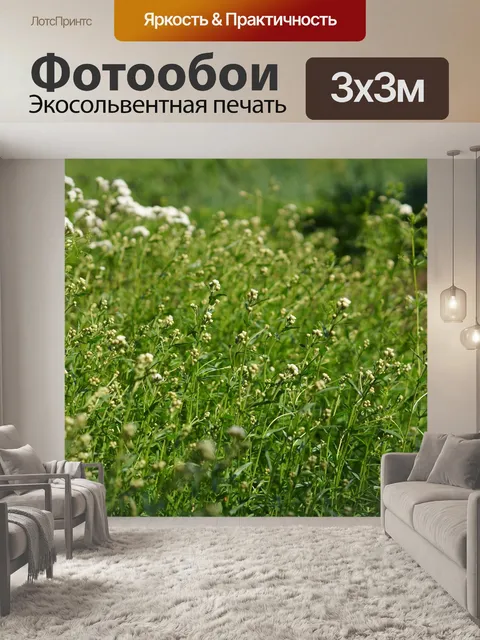 Фотообои Цветы