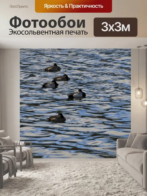 Фотообои Утки в озере