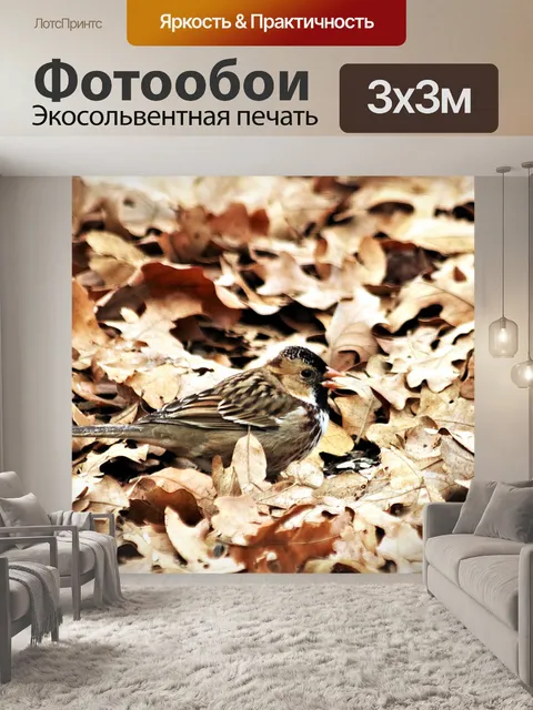 Фотообои Песня воробья в листьях