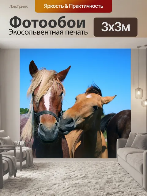 Фотообои Лошади