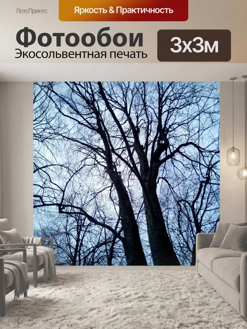 Фотообои Деревья