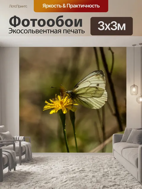 Фотообои Белый