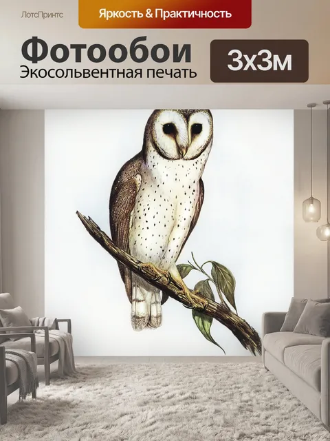 Фотообои Сова Винтаж плакат искусство