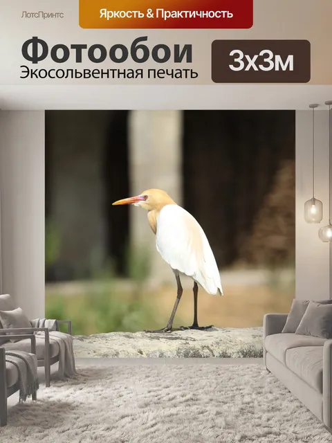 Фотообои Птица